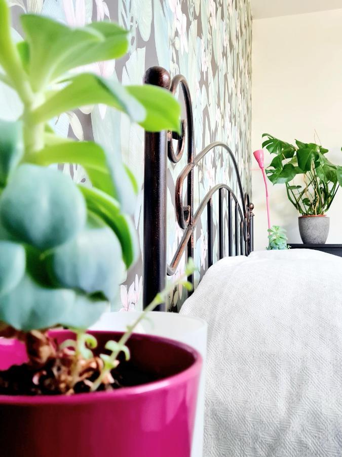 Apartmán Best Time In Štýrský Hradec Exteriér fotografie