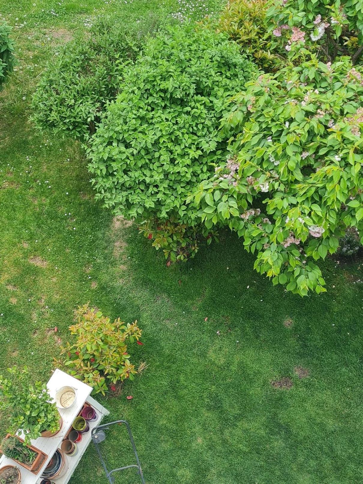 Apartmán Best Time In Štýrský Hradec Exteriér fotografie
